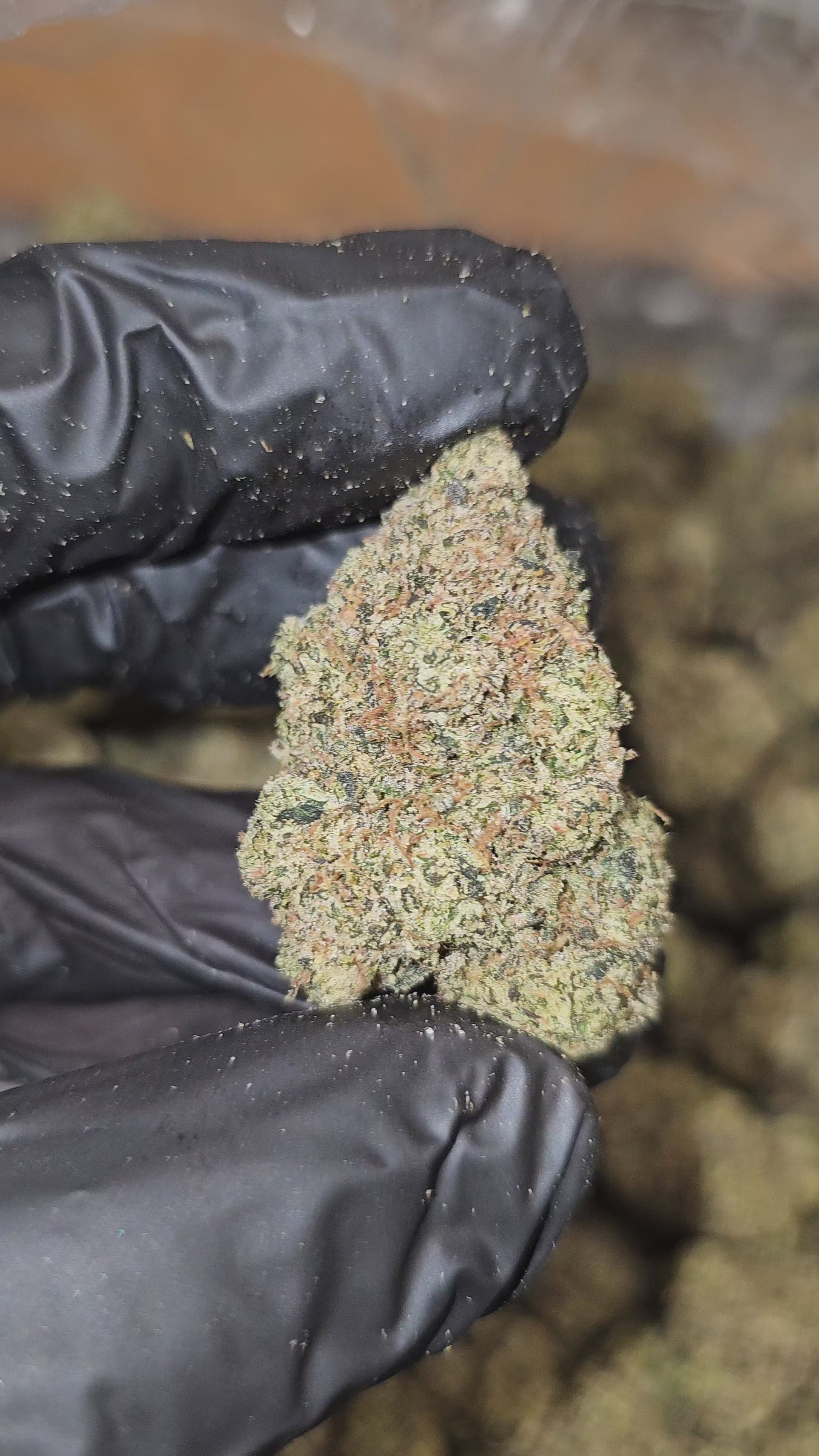 Load video: Slurpee | Top Tier | Flower