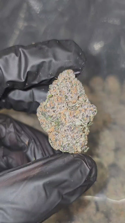 Sour Cookie Crunch | First Cut Exclusive | Flower | ON SALE