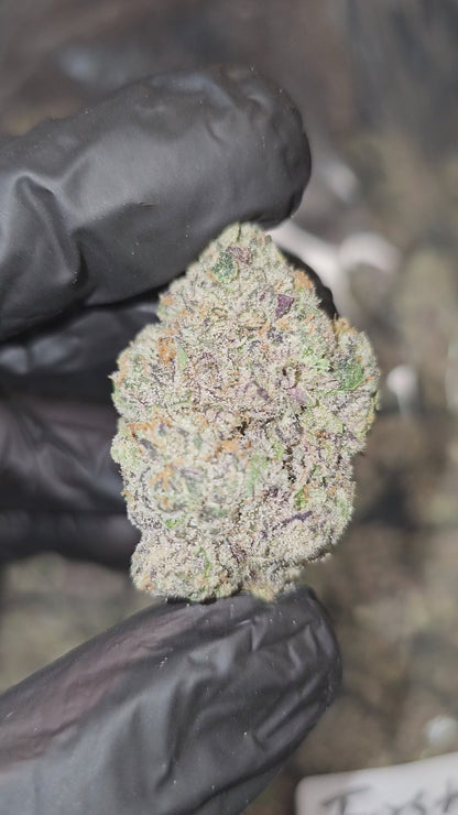 Gaz Money | First Cut Exotics | Flower | 30%