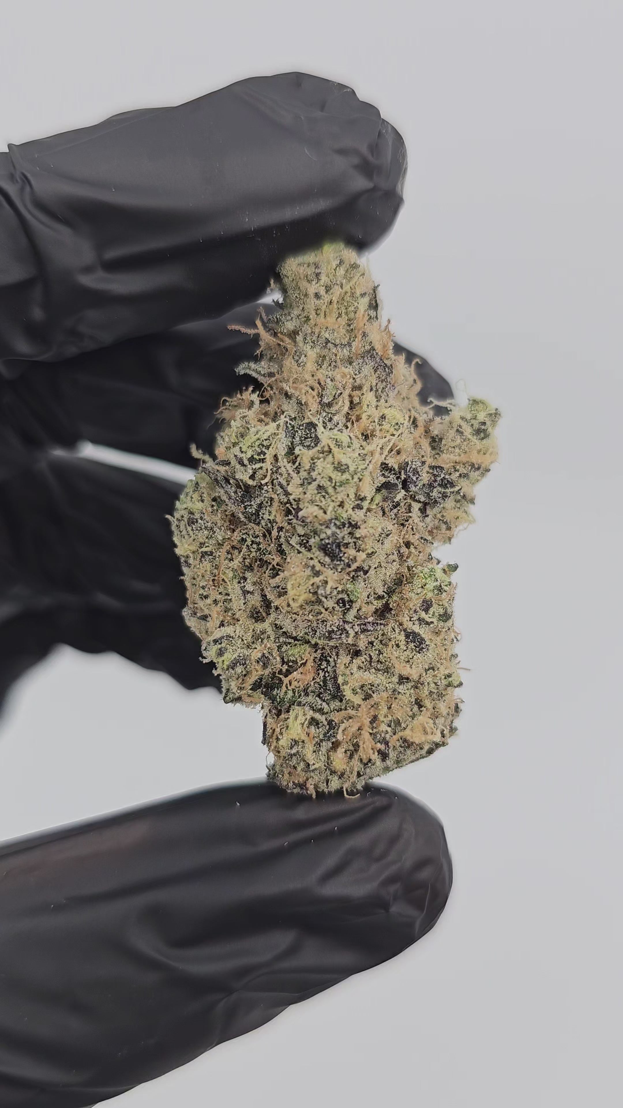 G Piff | First Cut Exotics | Flower | 32%