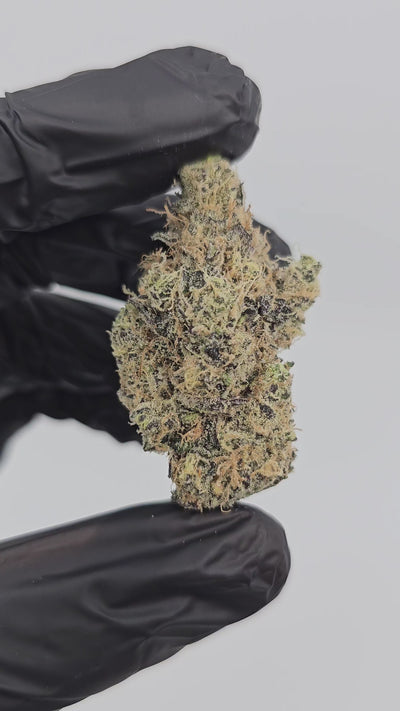 G Piff | First Cut Exotics | Flower | 32%
