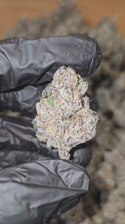 Blue Nerdz | First Cut Exclusive | Flower | 7g Packs