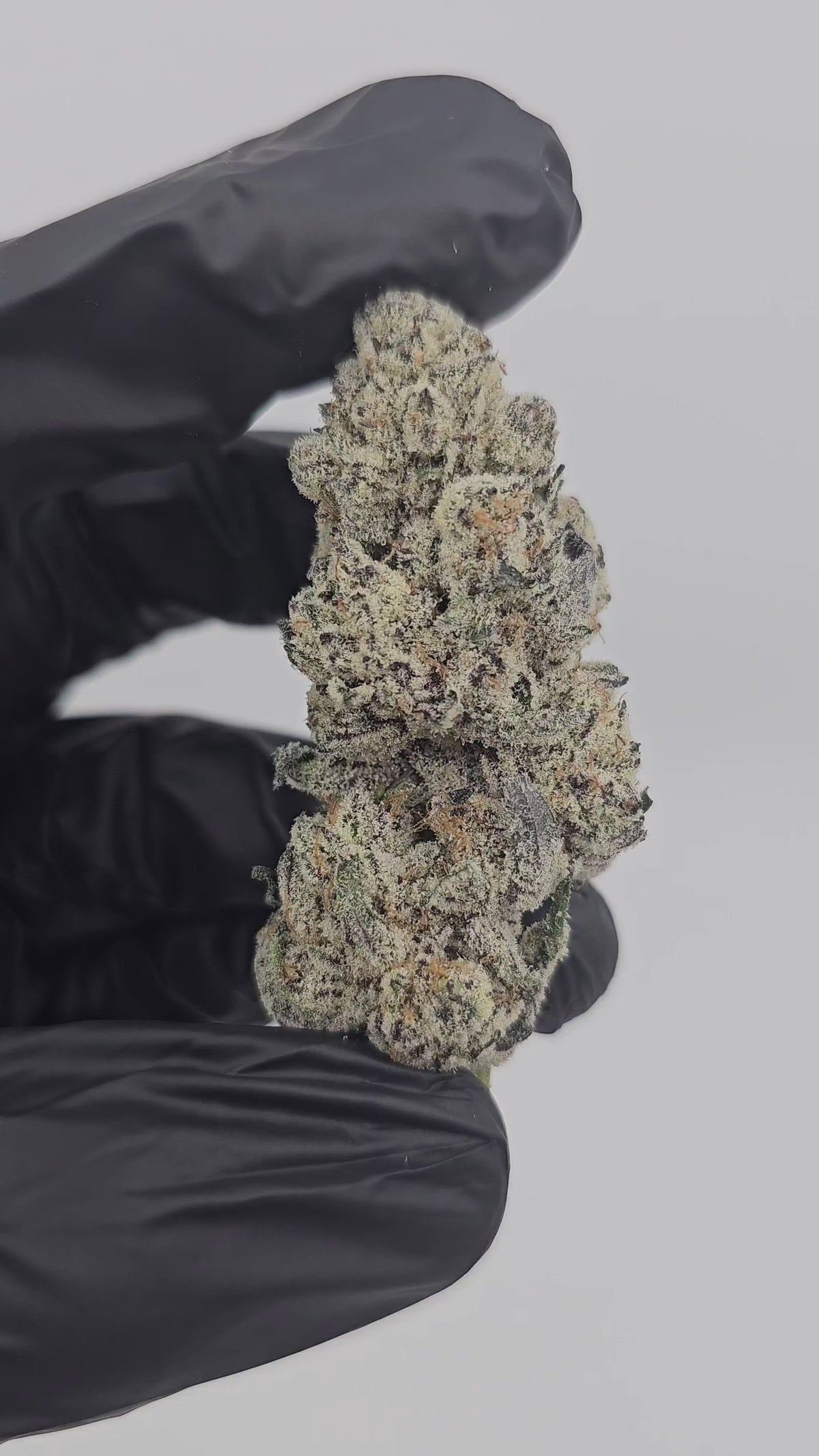 Diesel's Crown OG | Private Reserve Flower | 36%