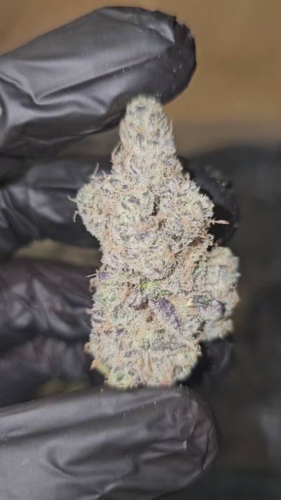 G Piff | First Cut Exotics | Flower | 32%
