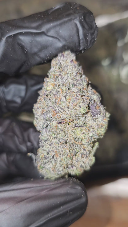 Purple Kush | First Cut Exotics | Flower | ON SALE