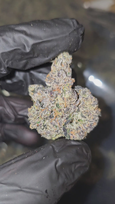 Animal Cookies | First Cut Exotics | Flower