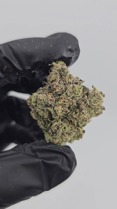Blue Dream | First Cut Exotics | Flower 36%