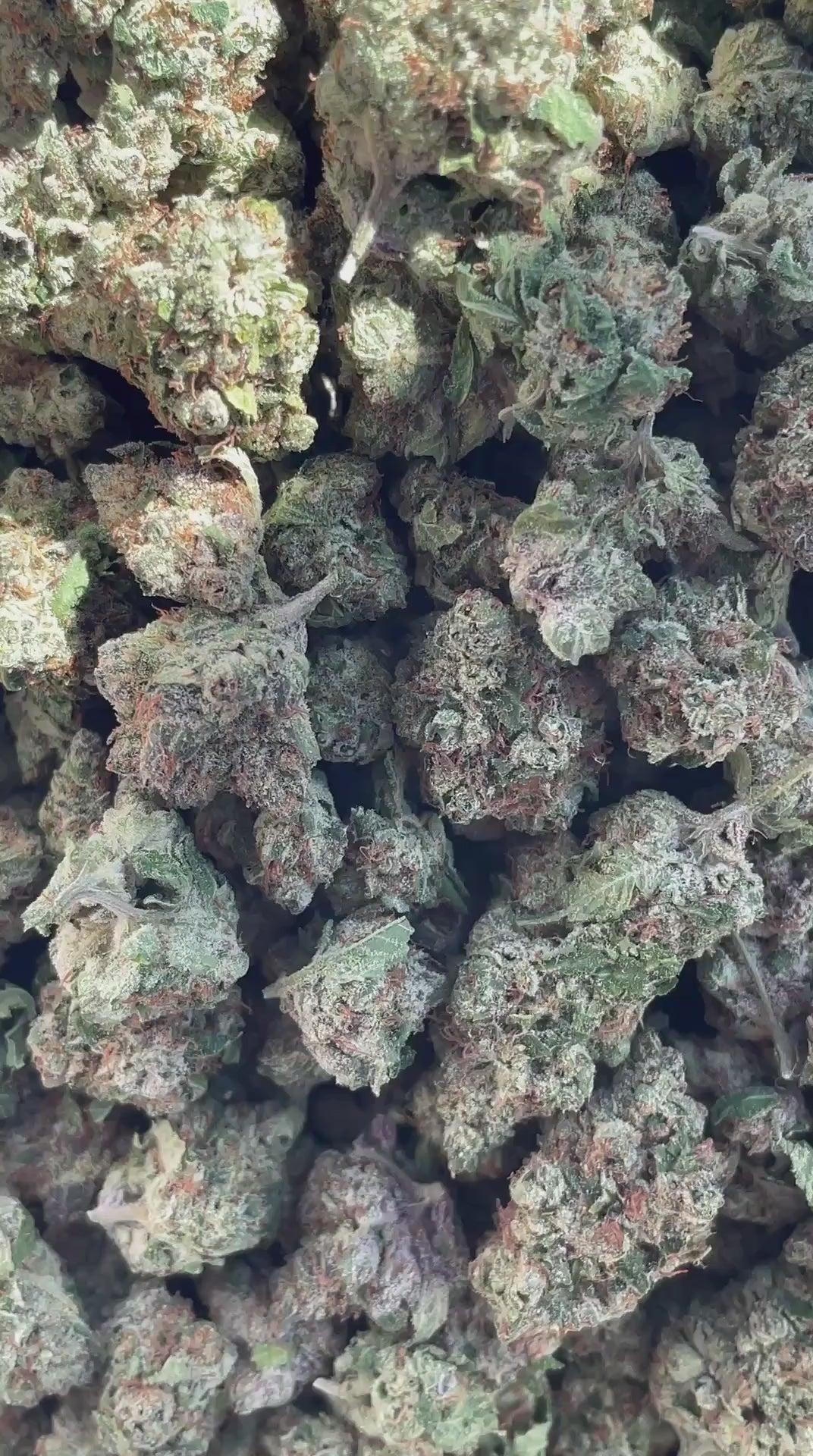 Toxic Marriage | Top Shelf Flower | 30%