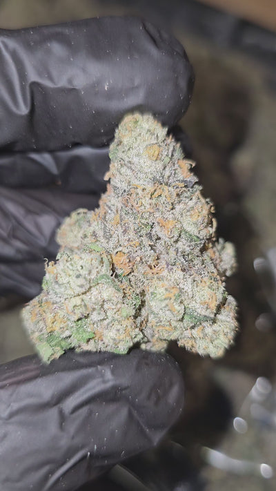 Candy Cartel | First Cut Exotics | Flower