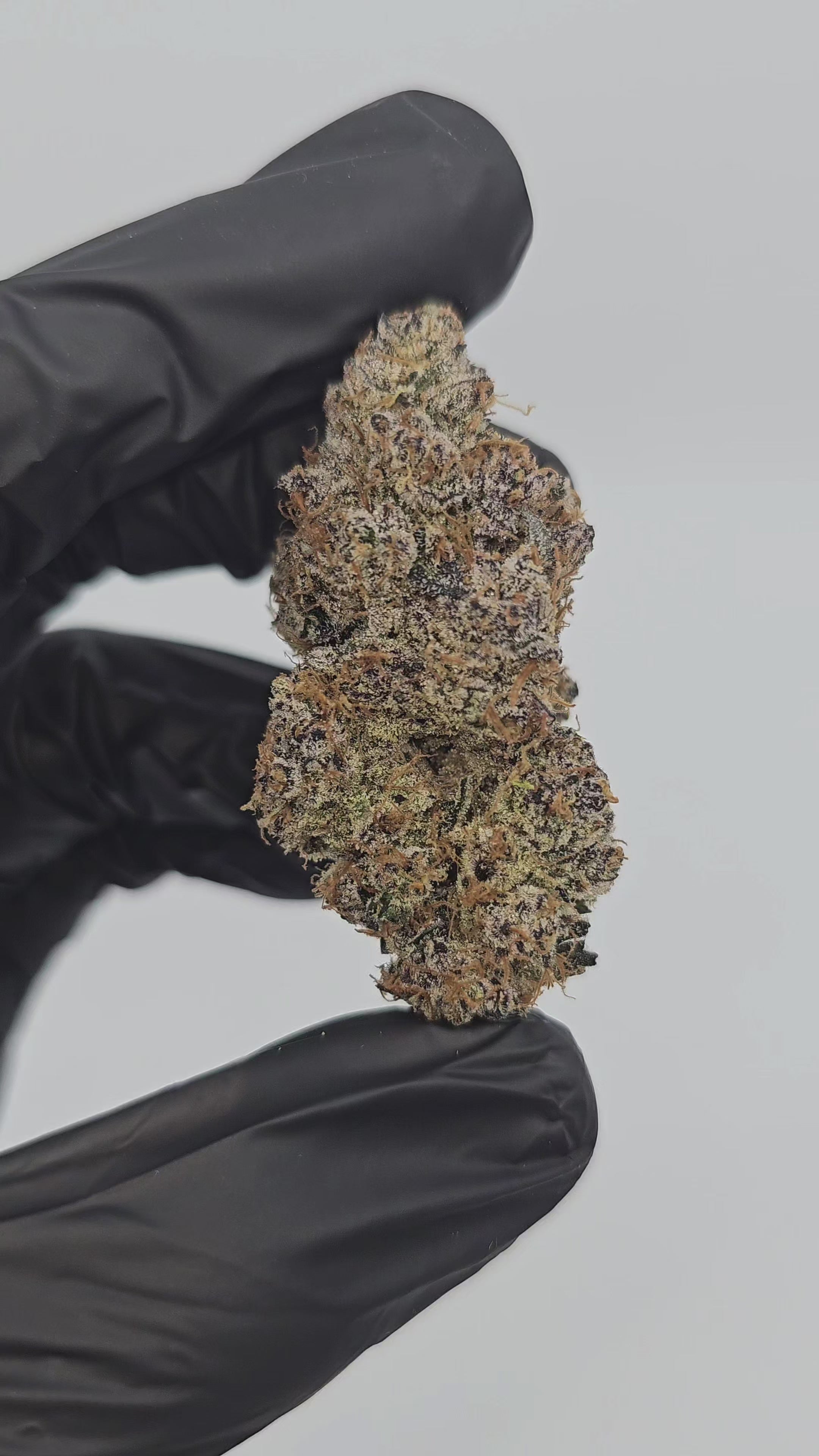 Peanut Butter Cookies | First Cut Exotics | 31% | Flower