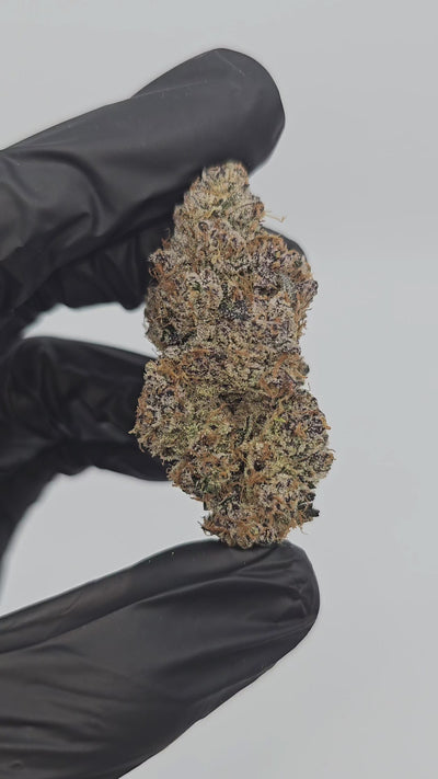 Peanut Butter Cookies | First Cut Exotics | 31% | Flower