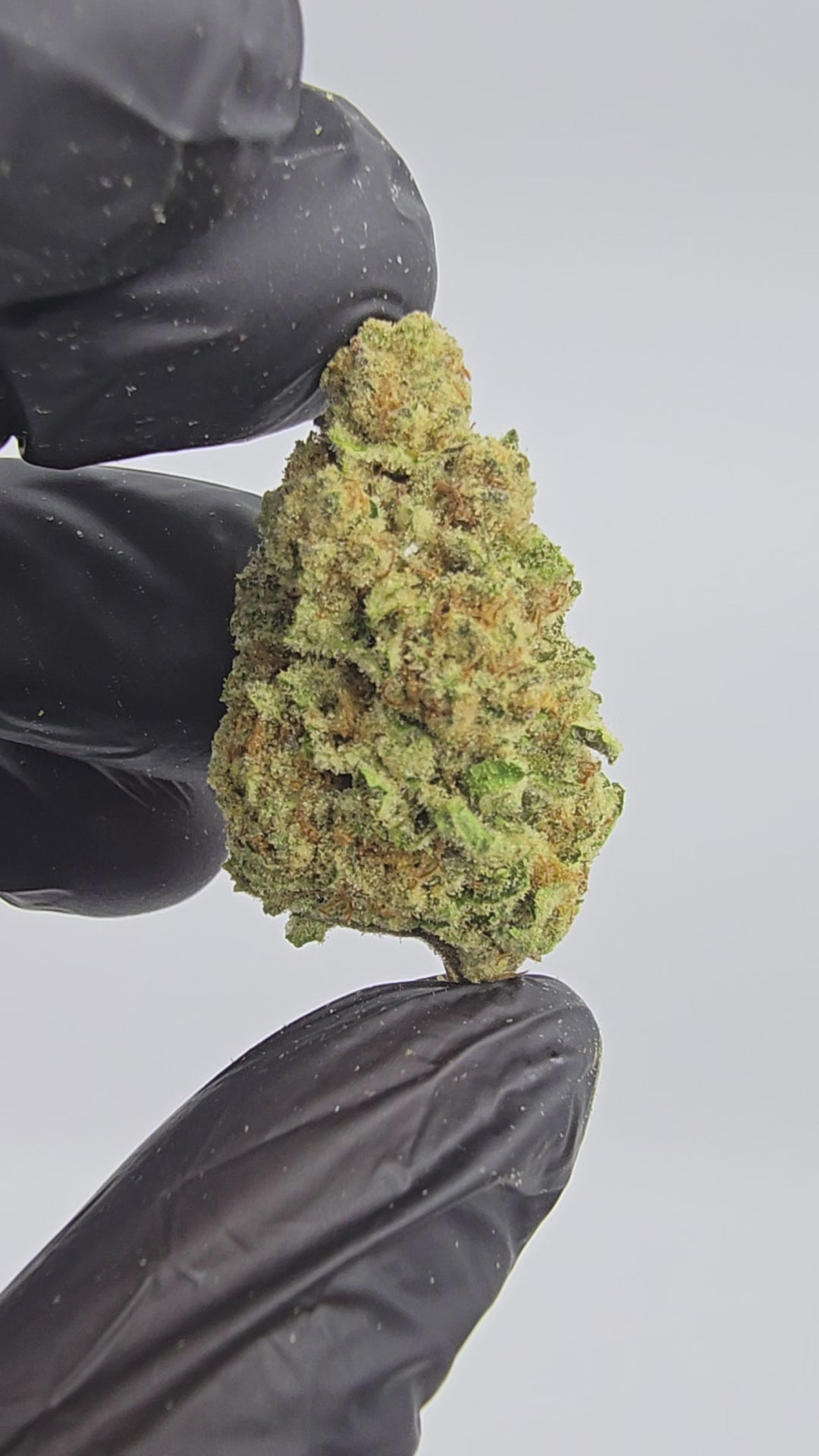 Lambo OG | Top Tier | Flower