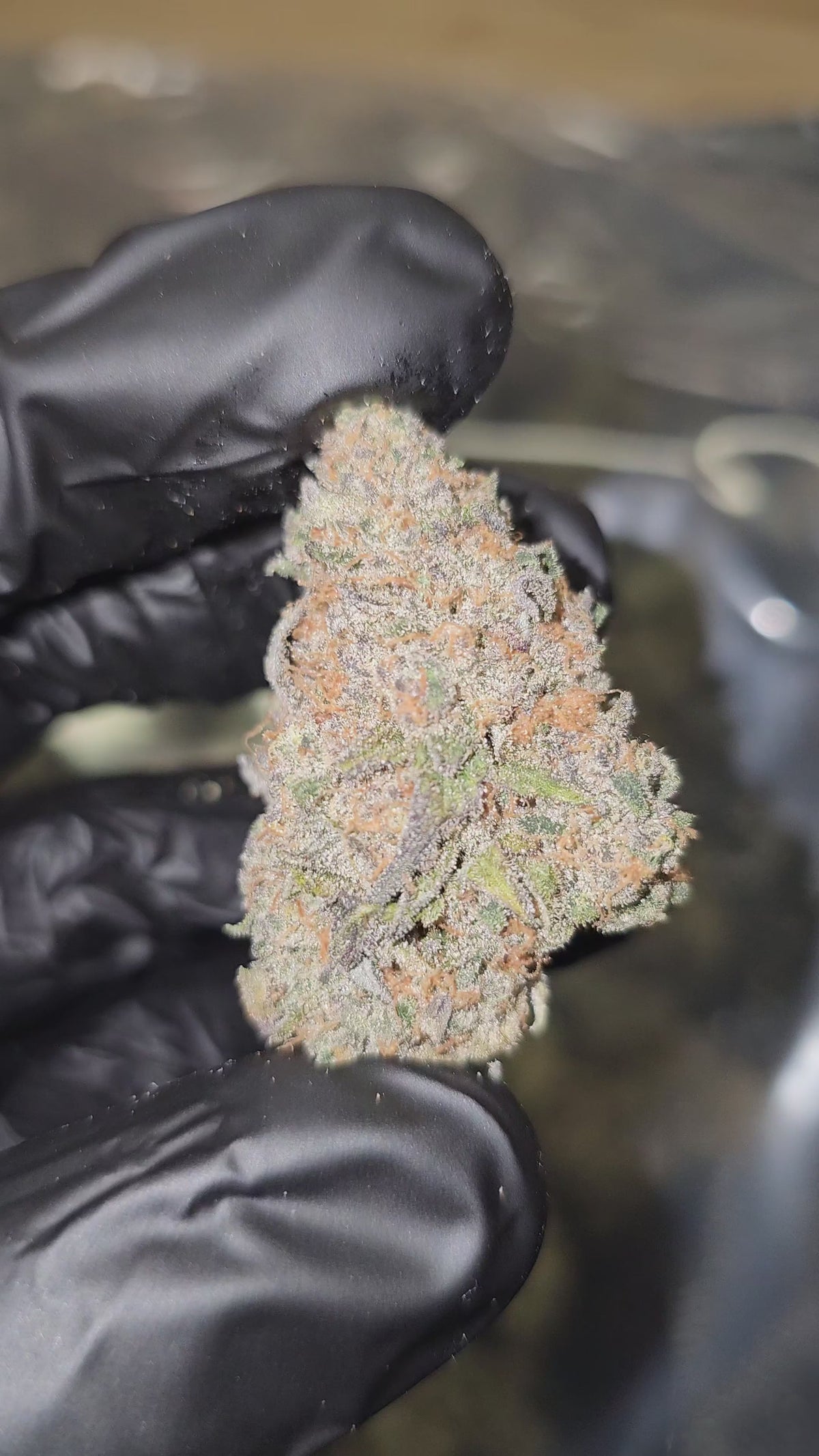 Sour Cookiez | First Cut Exotics Flower | ON SALE