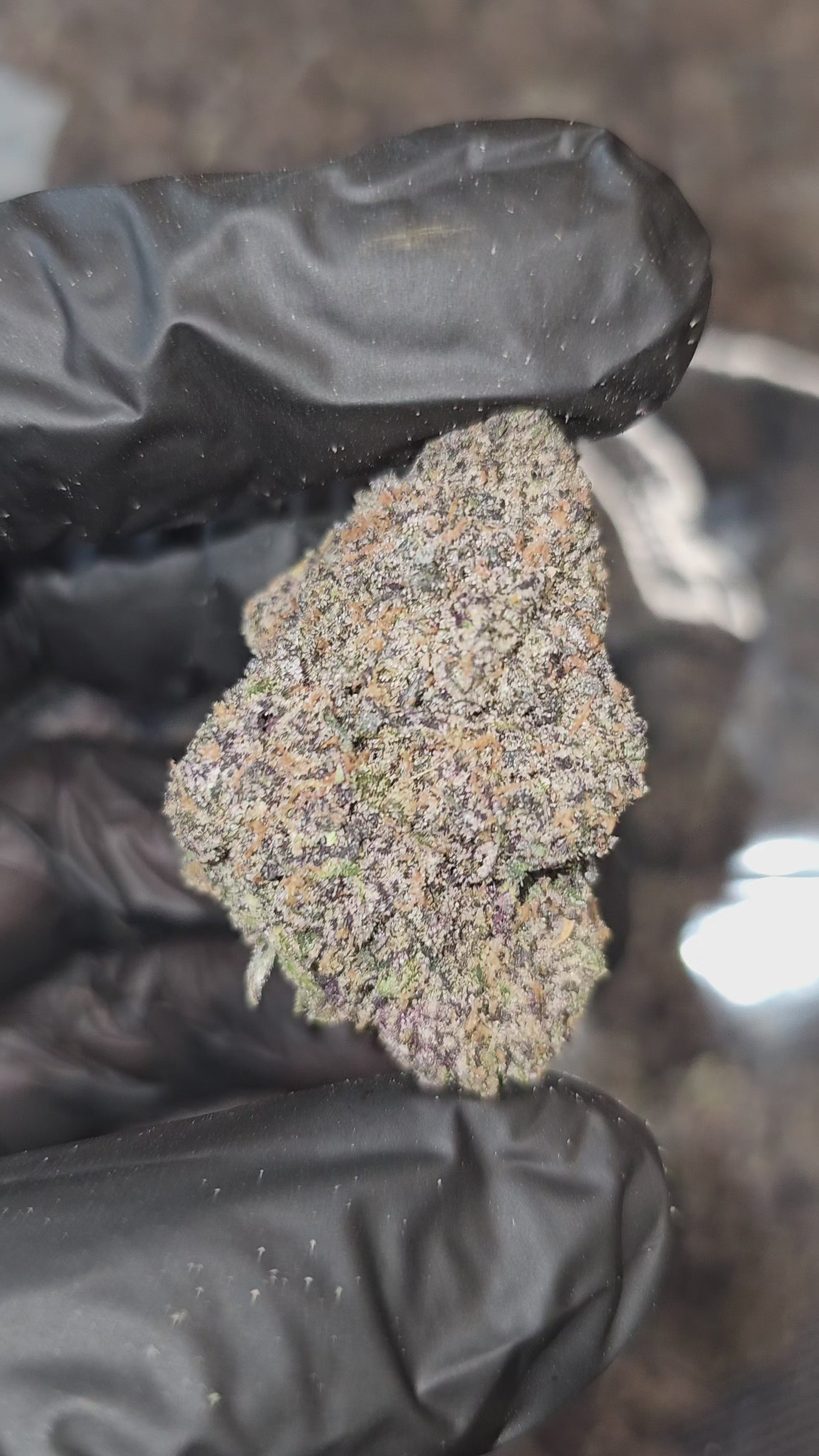 Pink Runtz | First Cut Exotic | Flower | ON SALE