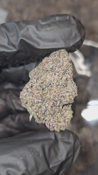 Pink Runtz | First Cut Exotic | Flower | ON SALE