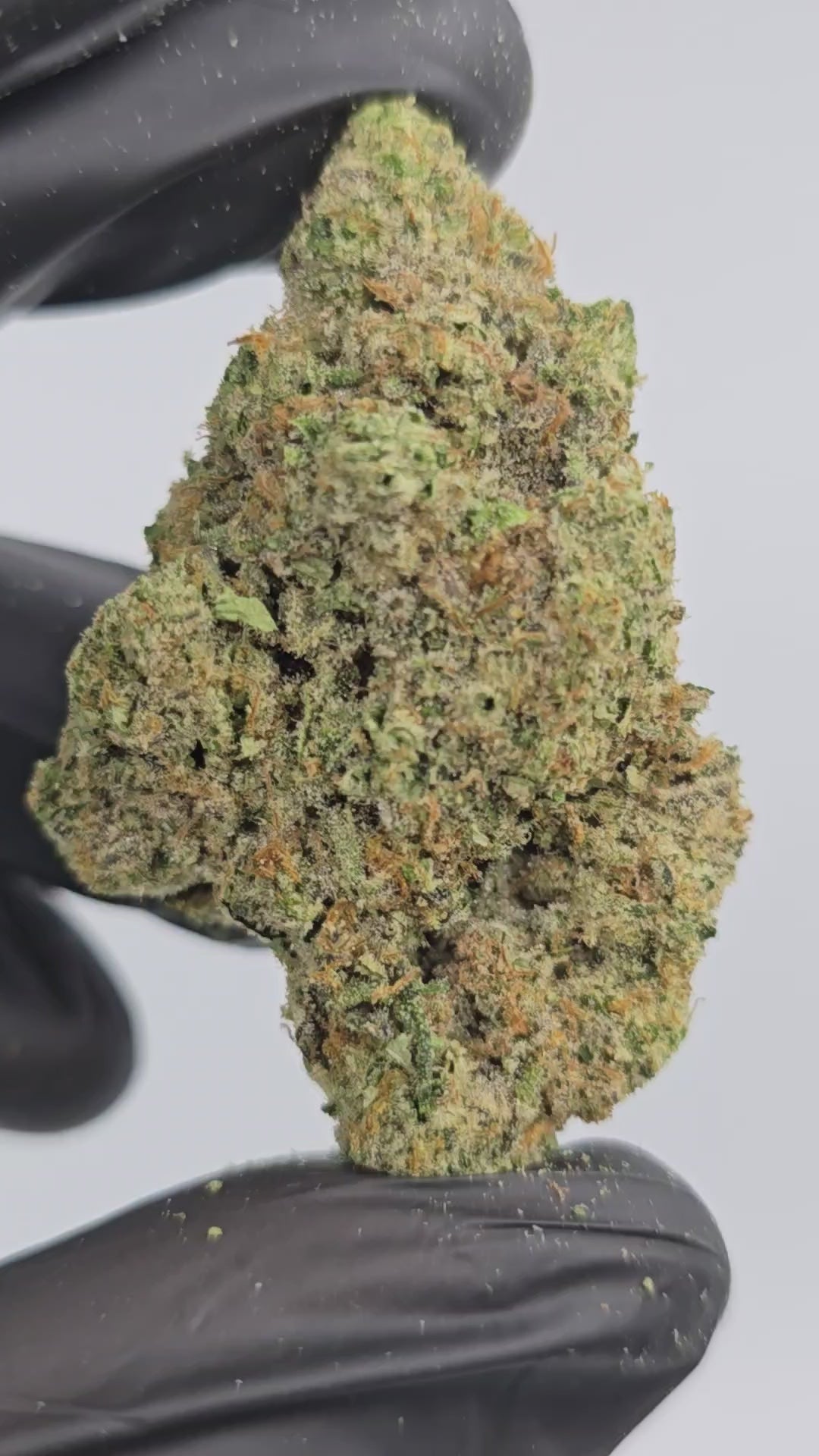 Load video: Sour Diesel | Boutique Exotics | Flower