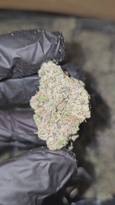 Candy Peaches | Boutique Exotics | Flower
