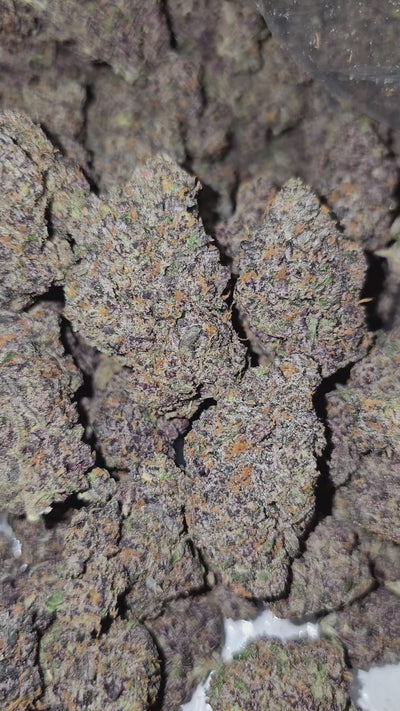 Old Money | Boutique Exotics | 32% | Flower