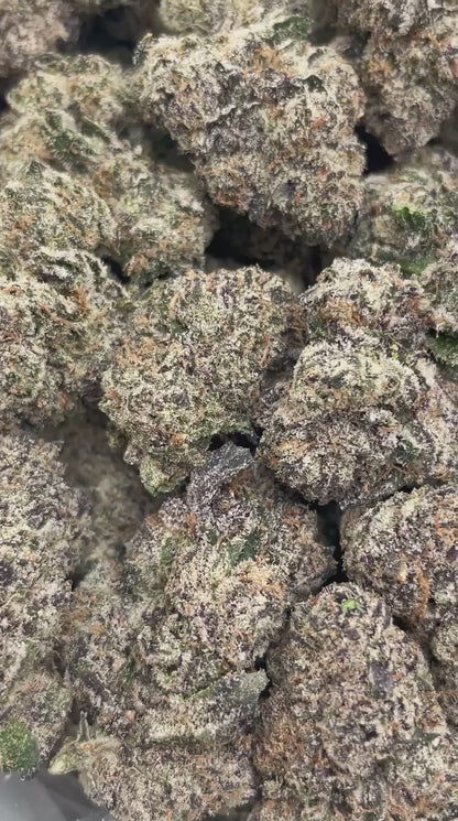 Pie Zookiez | First Cut Exclusive | Flower