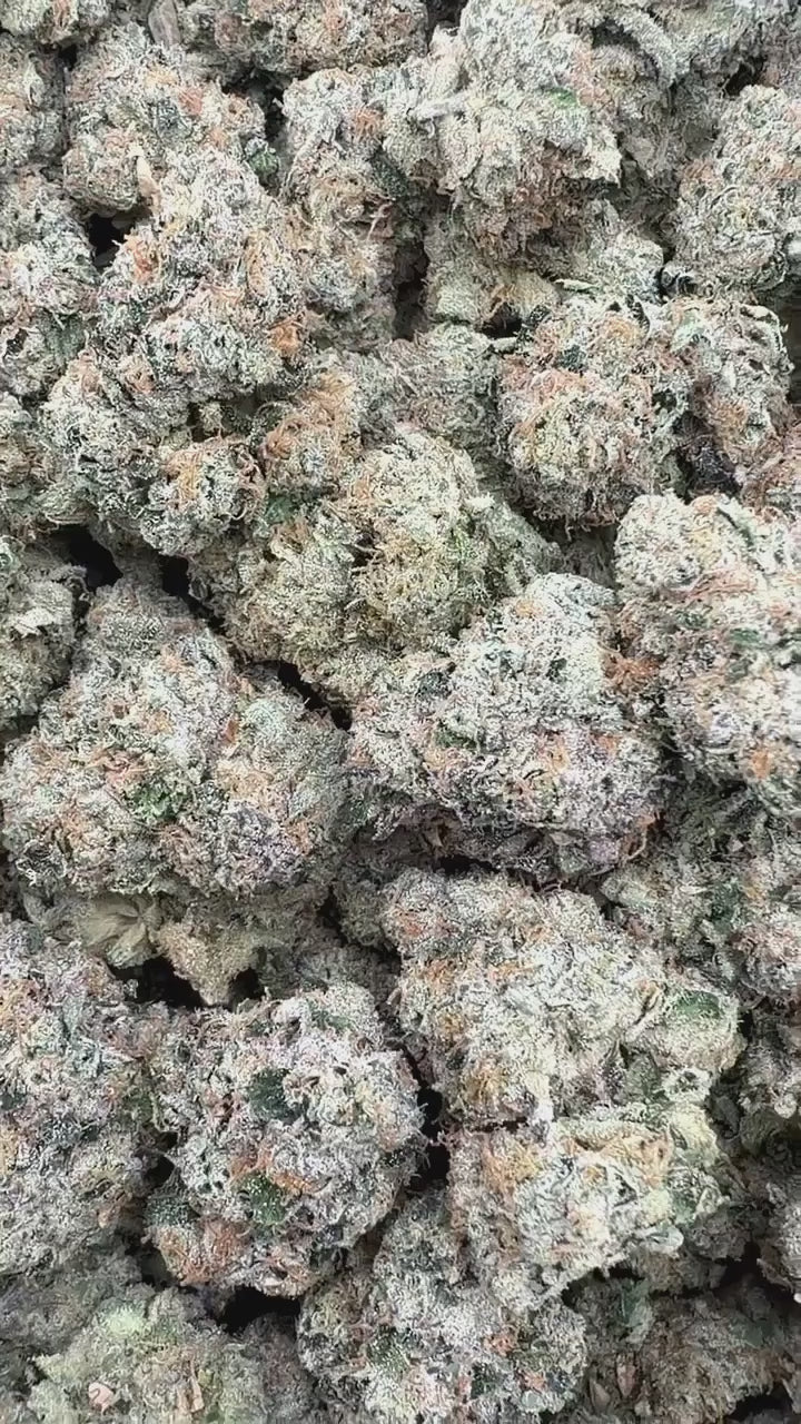 Load video: Sweet Retreat | First Cut Exotics | 35% Flower
