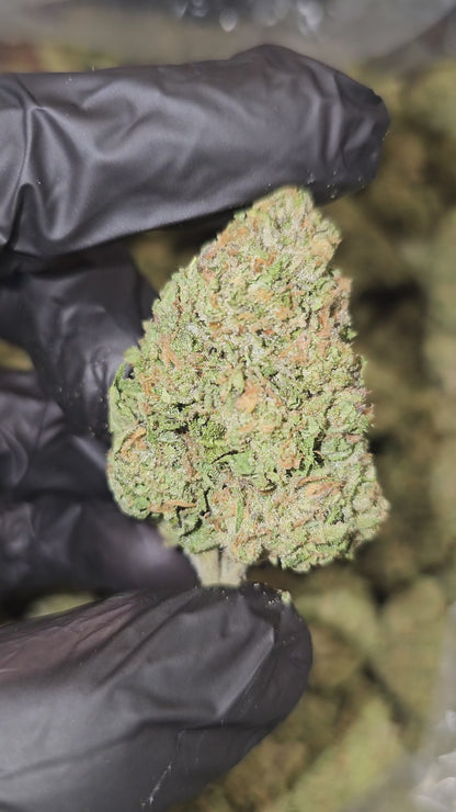 Strawberry Cough | Top Shelf | Flower | ON SALE