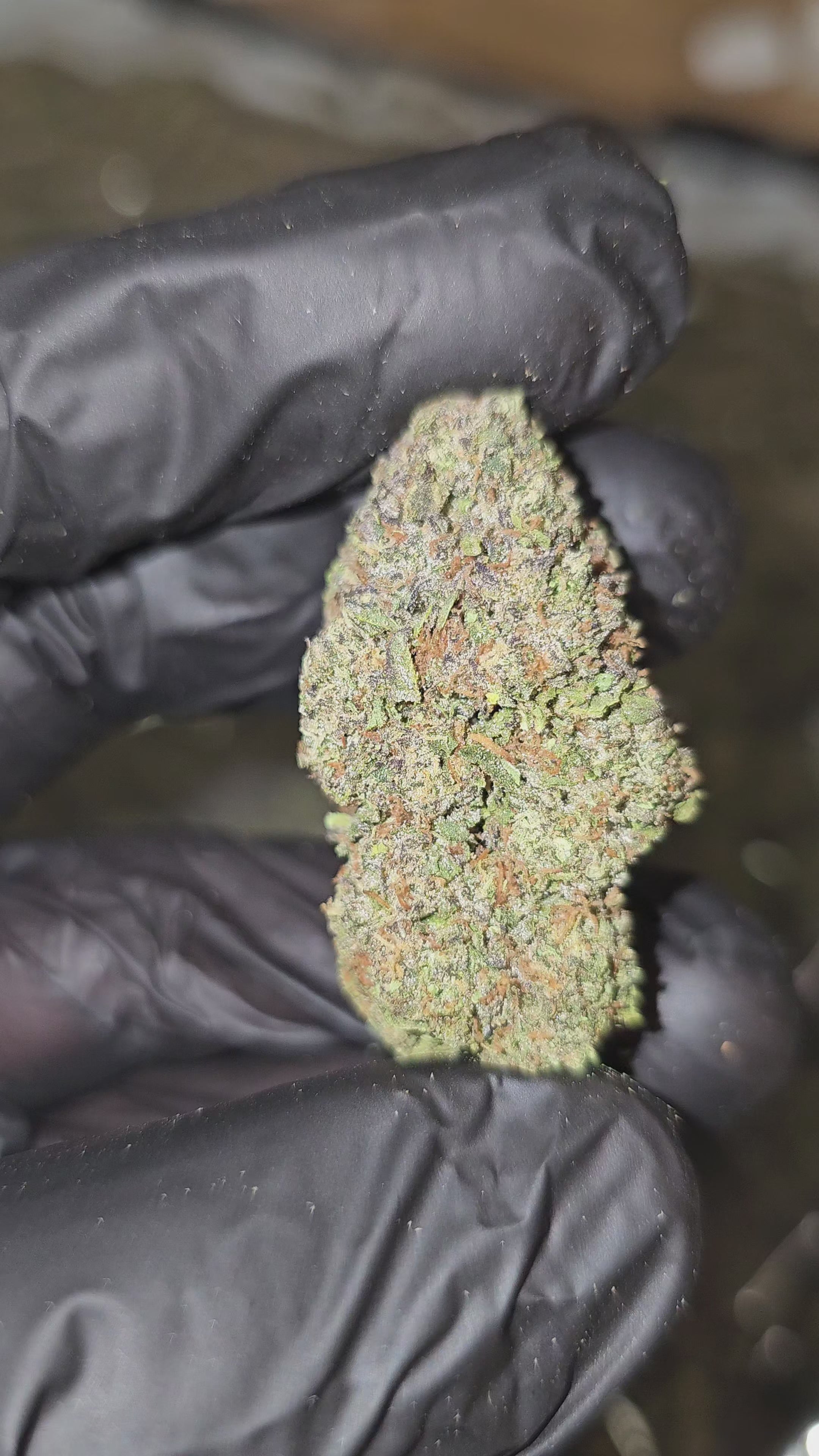 Blue Gushers | Top Shelf | 35% | Flower | On Sale