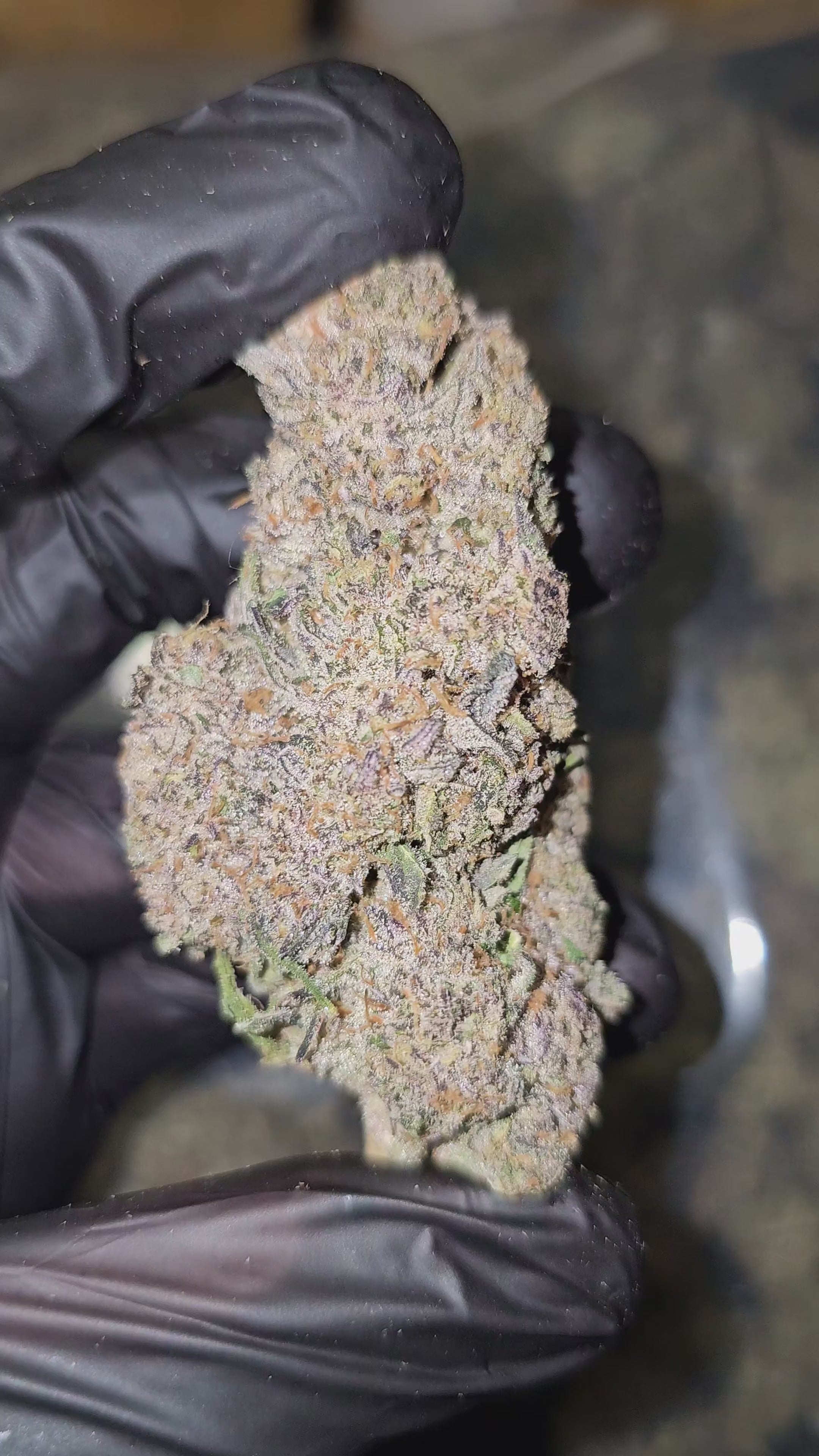 Diesel Jelly | First Cut Exotics | 31% | Flower