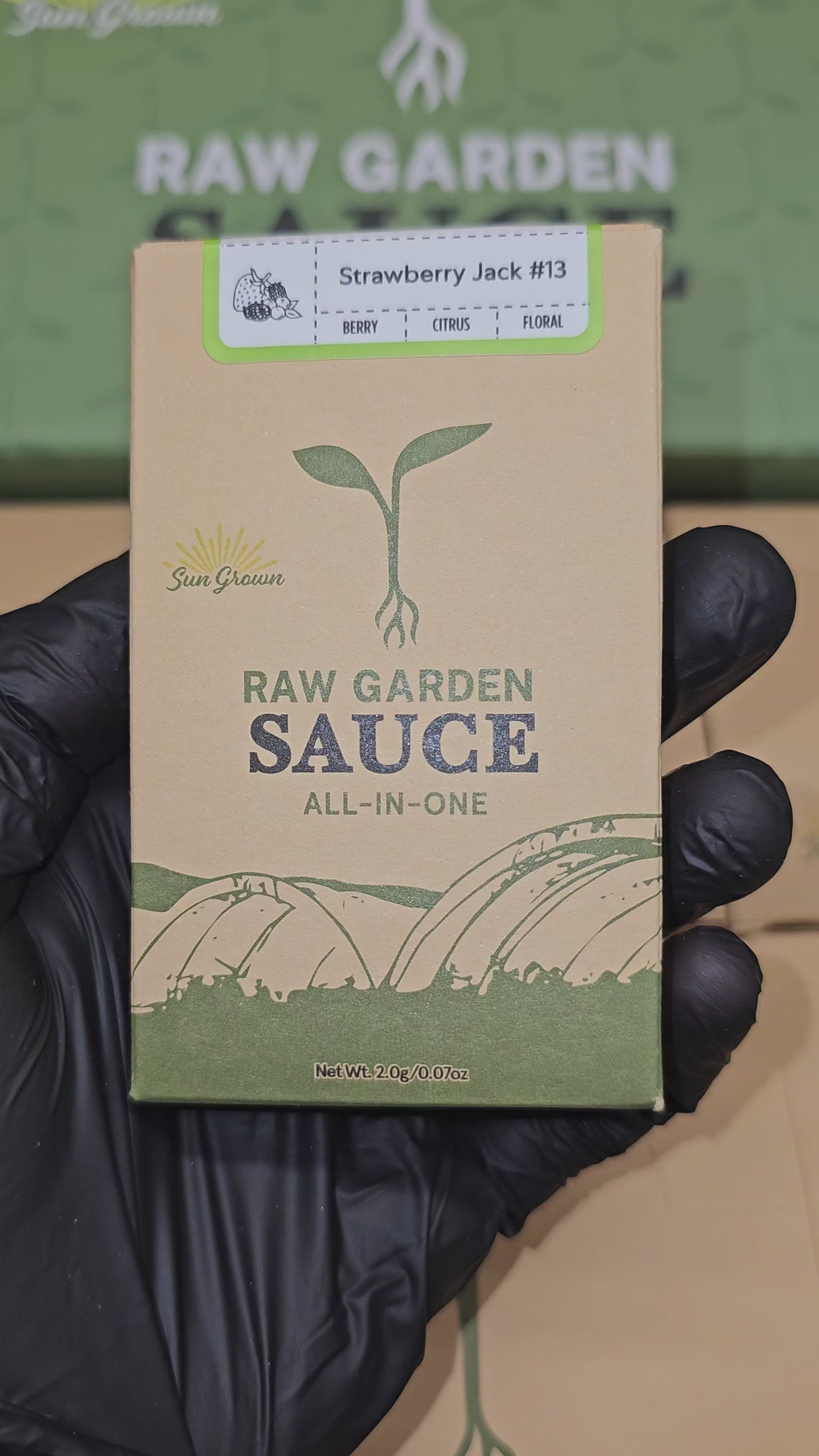 Load video: Raw Garden | Live Resin Sauce | All In One | 2g Disposable | Vape Cart