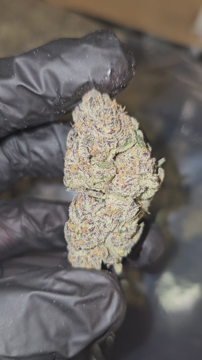 Garlic Butter | First Cut Exotics | 32% | Flower