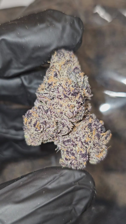 Rhino Pussy | First Cut Exotics | Flower | 29.88%