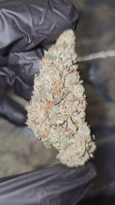 StrawnApple | First Cut Exotics | Flower