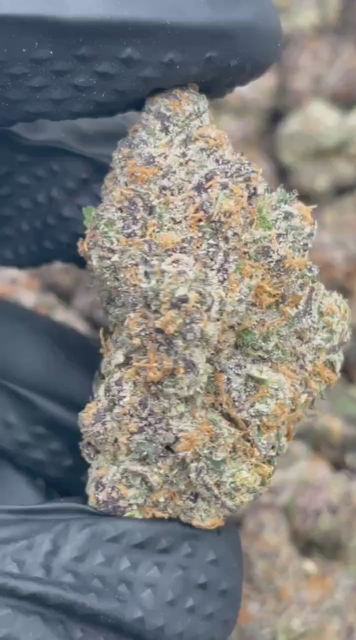 Load video: CUSTOM FLOWER ORDER | BOUTIQUE EXOTIC