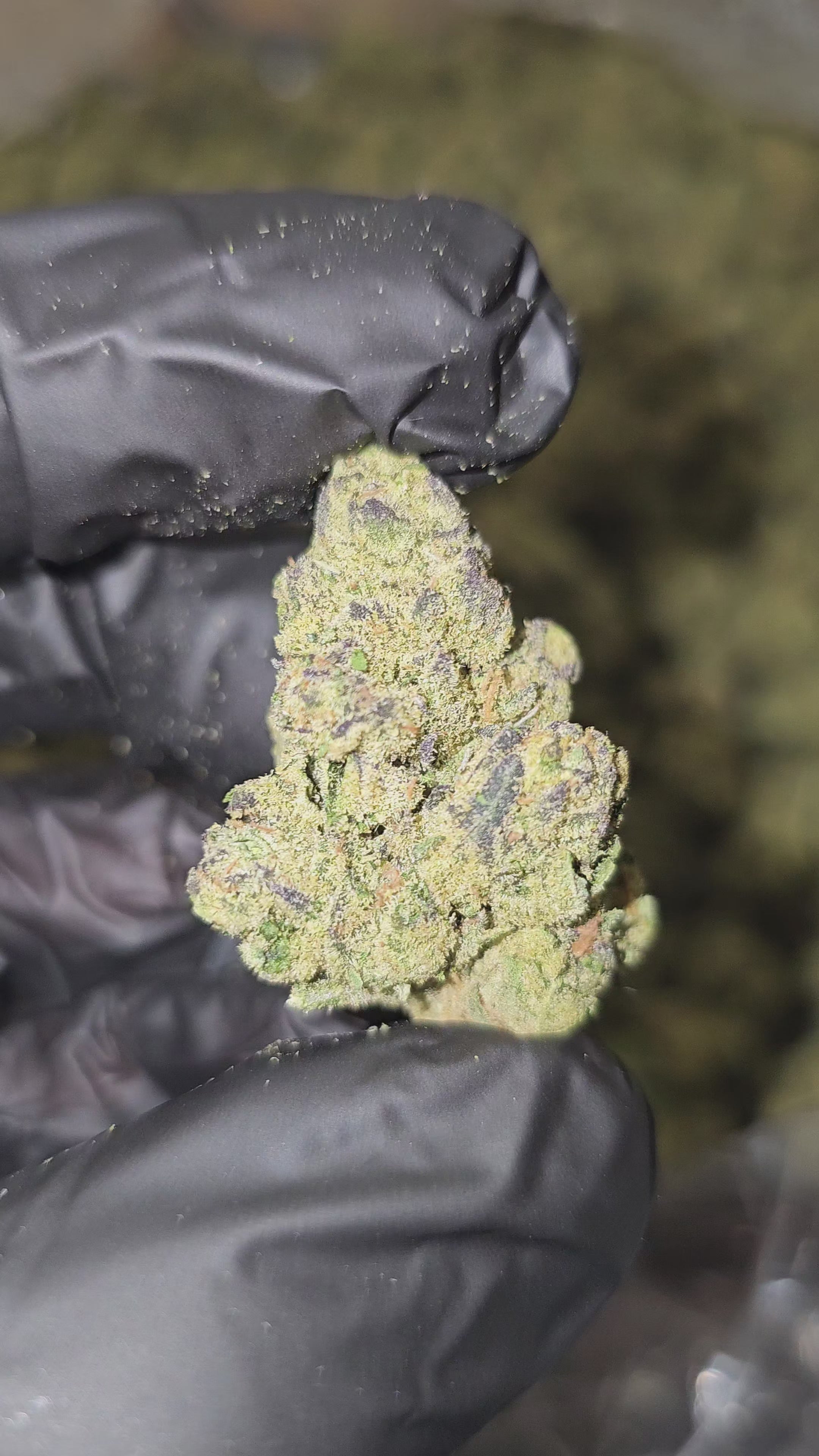 Load video: Yellow Diamonds | Top Shelf | 29% | Flower | On Sale