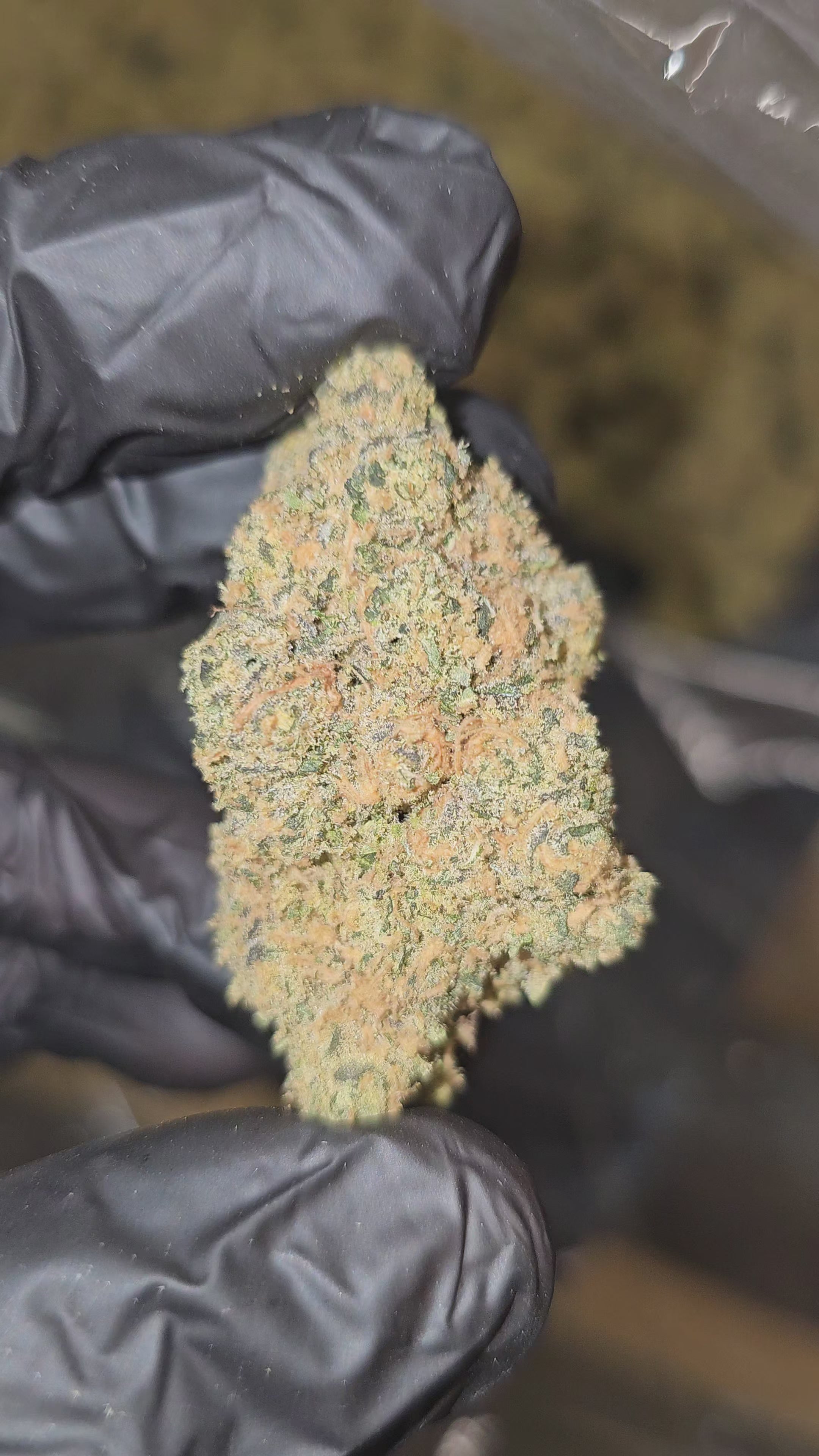 Load video: Jedi Kush | Boutique Exotics | Flower