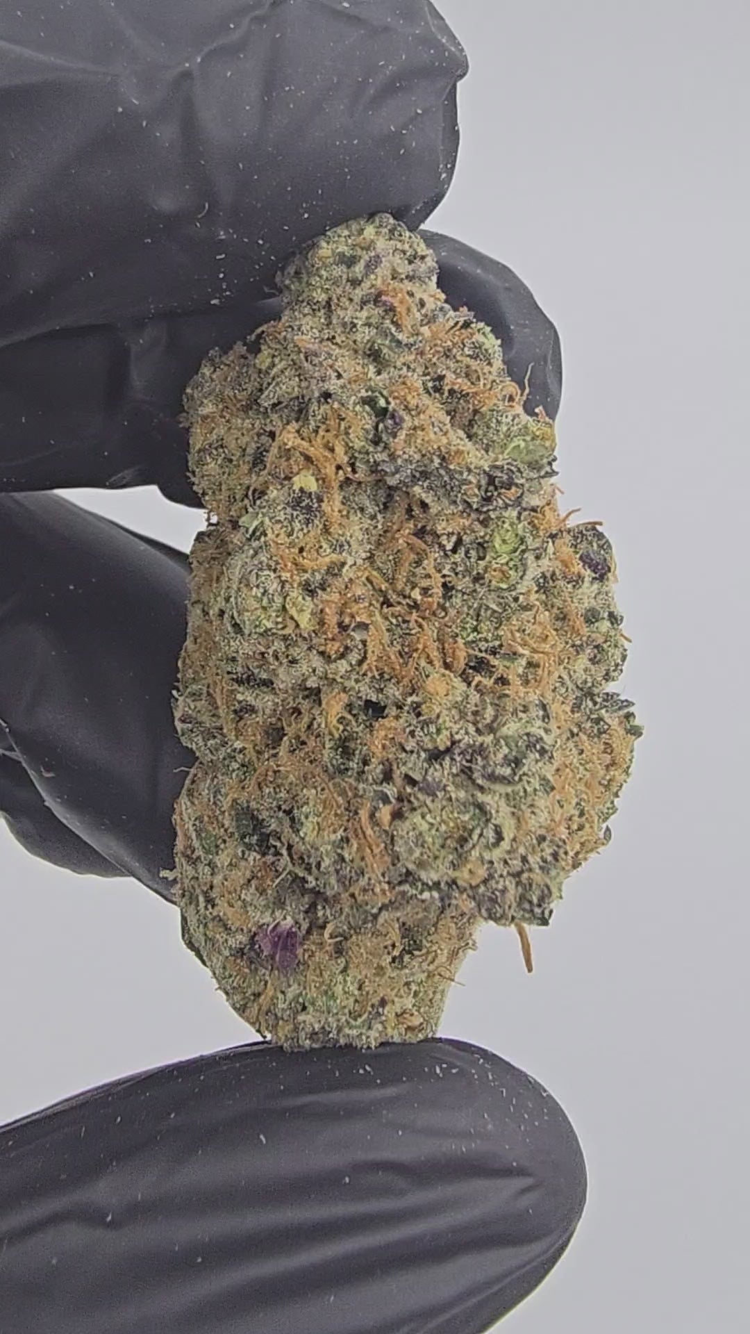Grape Kush | Boutique Exotics | Flower