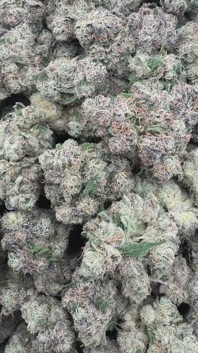 Blue Dream | First Cut Exotics | Flower 36%