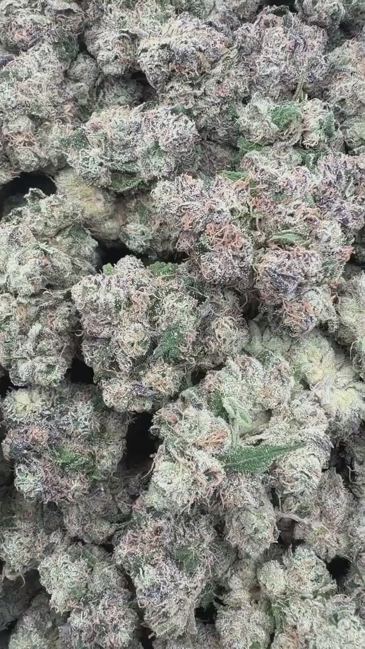 Blue Dream | First Cut Exotics | Flower 36%