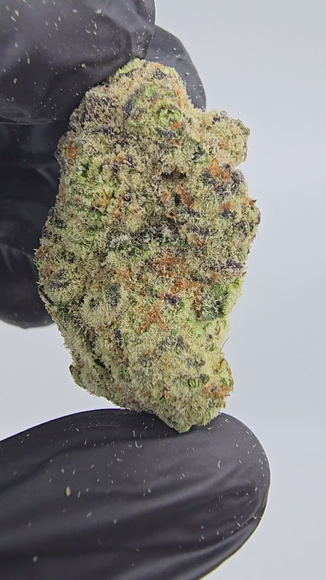 Load video: Banana Smoothies | Top Tier | Flower
