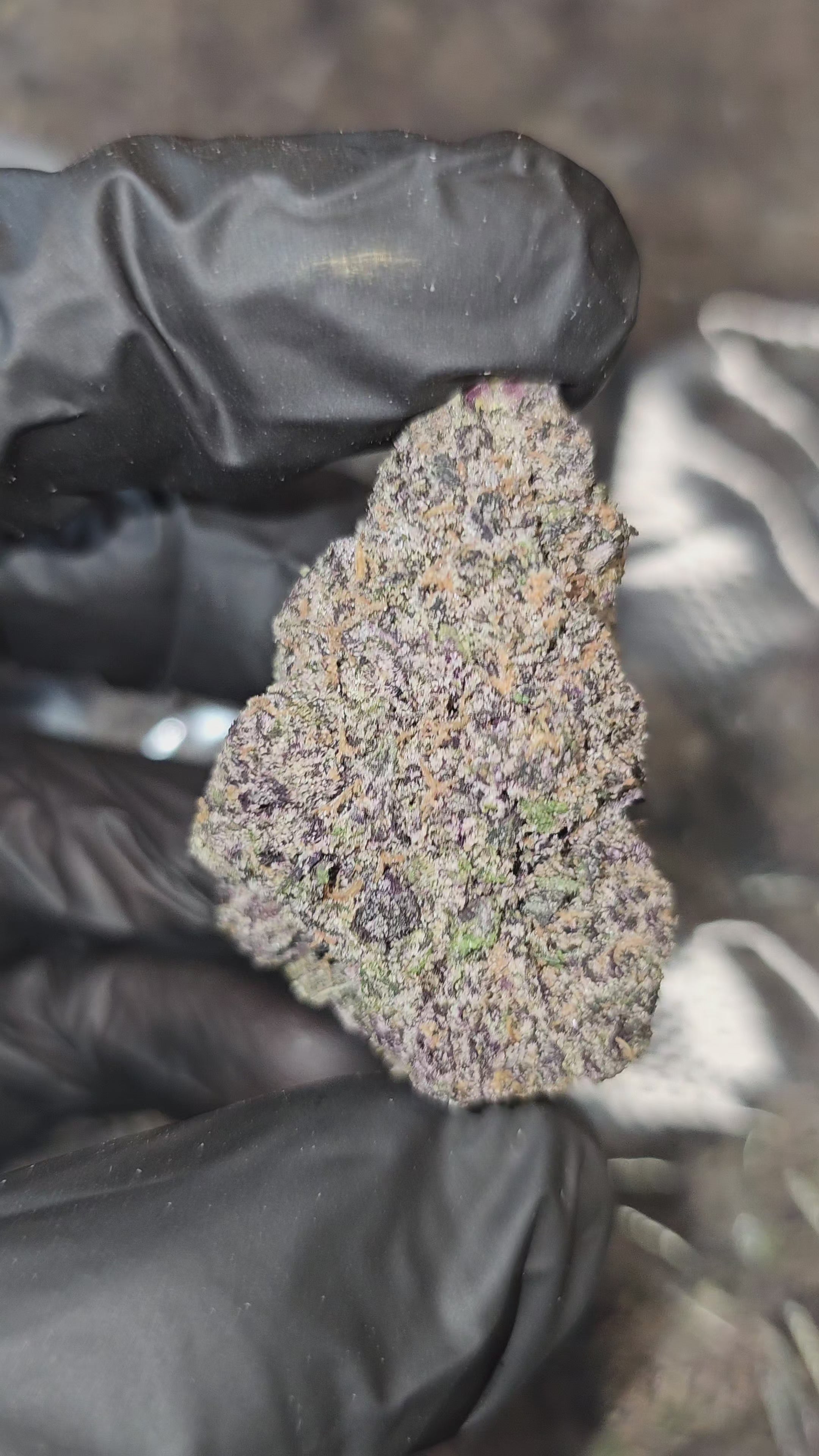 Load video: Pink Runtz | First Cut Exotic | Flower | ON SALE