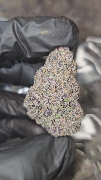 Pink Runtz | First Cut Exotic | Flower | ON SALE