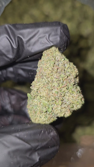 Gas Works | Top Shelf | Flower
