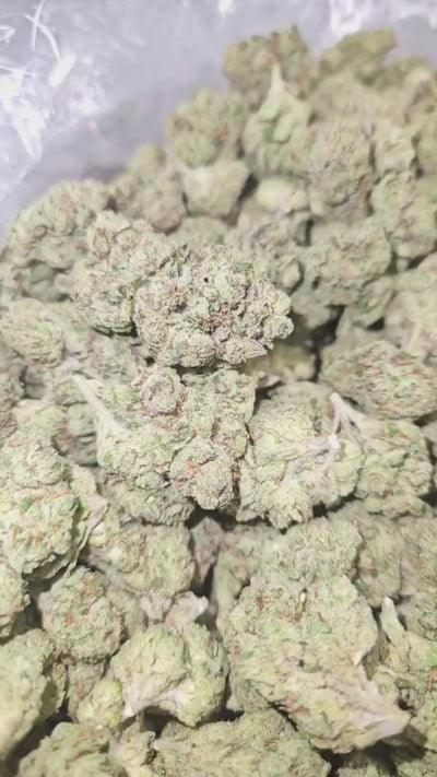 Cherry Burst | Top Shelf Flower