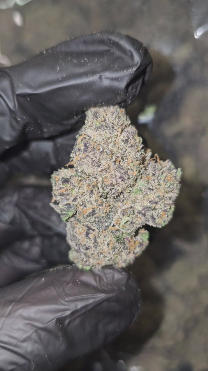 Lemon Cherry Runtz | Boutique Exotics | Flower | 14 Gram Packs | On Sale