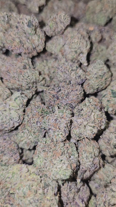 Mango Mentality | Boutique Exotics Flower | 31%
