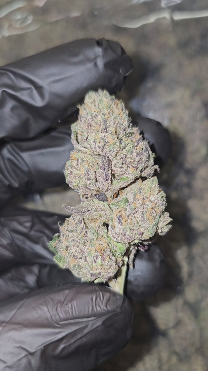 Lemon Cherry Runtz | Boutique Exotics | Flower | 14 Gram Packs | On Sale