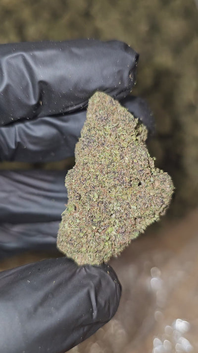 Tropical Cherry | Budget Shelf | 32% | Flower | On Sale