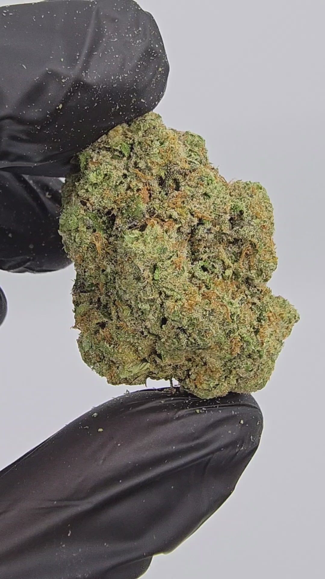Sour Diesel | Boutique Exotics | Flower