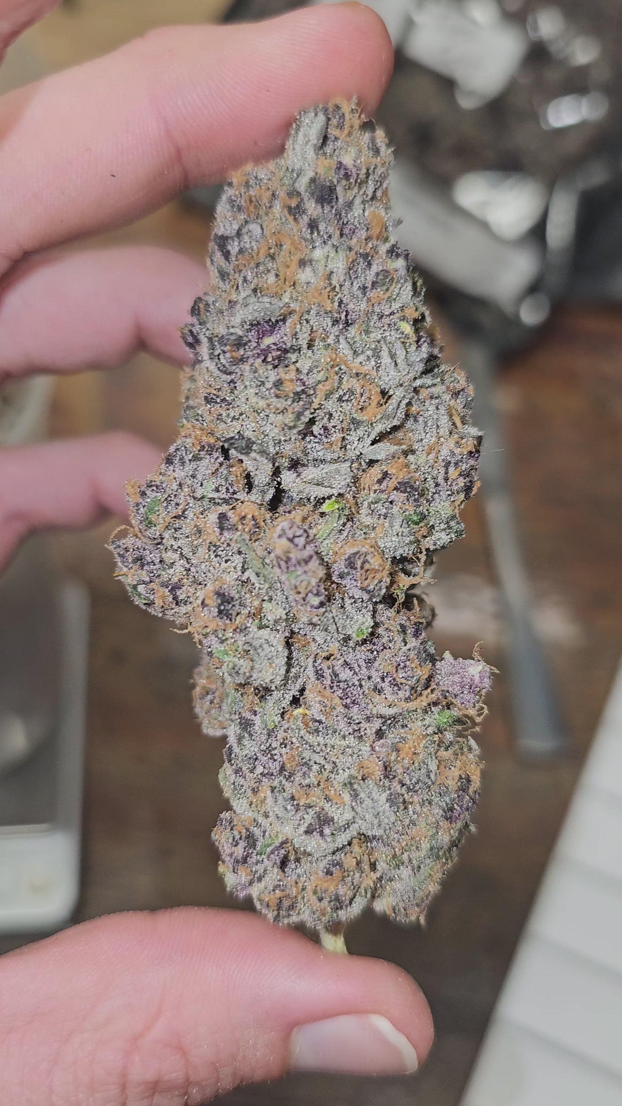Load video: Super Boof | First Cut Exclusive | Flower