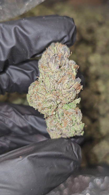 Lemon Cherry Garcia | Top Shelf | Flower