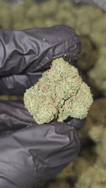 Larry OG | Top Shelf | Flower | ON SALE